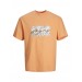 T-Shirt Jack&Jones Erkek T-Shirt 12235738