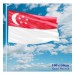 Singapur Bayrağı-100X150