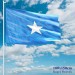 Somali Bayrağı 100X150