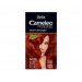 Delia Camelia Saç Renklendirici Şampuan Tek Kullanımlık 66.56 Wild Plum 40 Ml