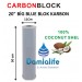 20" Inç Big Blue Jumbo 5 Micron Blok Karbon Filtre