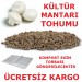 3 Kğ Kültür Mantari Tohumu Mantar Mi̇seli̇ (Beyaz Şapkali)
