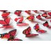 Pvc İğneli Kelebek 12 Li Duvar Süsleme Dekorasyon Model Ma