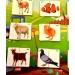 2 Set - 80 Parça  Evcil Ve Vahşi Parça Birleştirme Oyunu Keçe Cırtlı Duvar Panoları , Eğitici Oyuncak