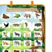 İngilizce Parça-Bütün Vahşi Hayvanlar Eşleştirme Keçe Cırtlı Duvar Panosu , Eğitici Oyuncak