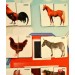Parça Bütün Eşleştirme - Evcil Hayvanlar Keçe Cırtlı Duvar Panosu , Eğitici Oyuncak