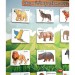 Parça Bütün Eşleştirme - Vahşi Hayvanlar Keçe Cırtlı Duvar Panosu , Eğitici Oyuncak