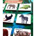 Tox ( Vahşi Hayvanlar ) Parça-Bütün Eşleşmeler Keçe Cırtlı Aktivite Sayfası - Çocuk Etkinlik, Eğitici