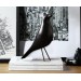 Cajuart Dekoratif Büyük Boy Kuş Biblo Ev Ofis Aksesuarı Ev Dekor