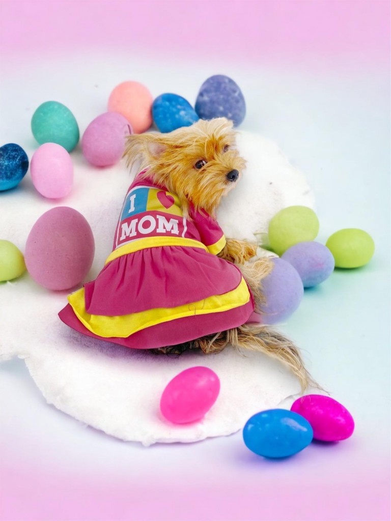 Anneler Günü Hediye Kutulu I Love Mom Pink Köpek Kıyafeti,Elbisesi Anneler Günü, Anneye Hediye, Anne