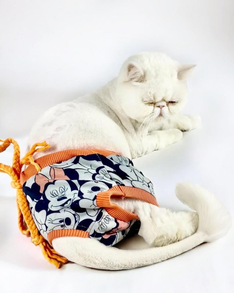 Cute Mickey Kemique's Secret Kedi İç Çamaşırı  Regl Külot  Don