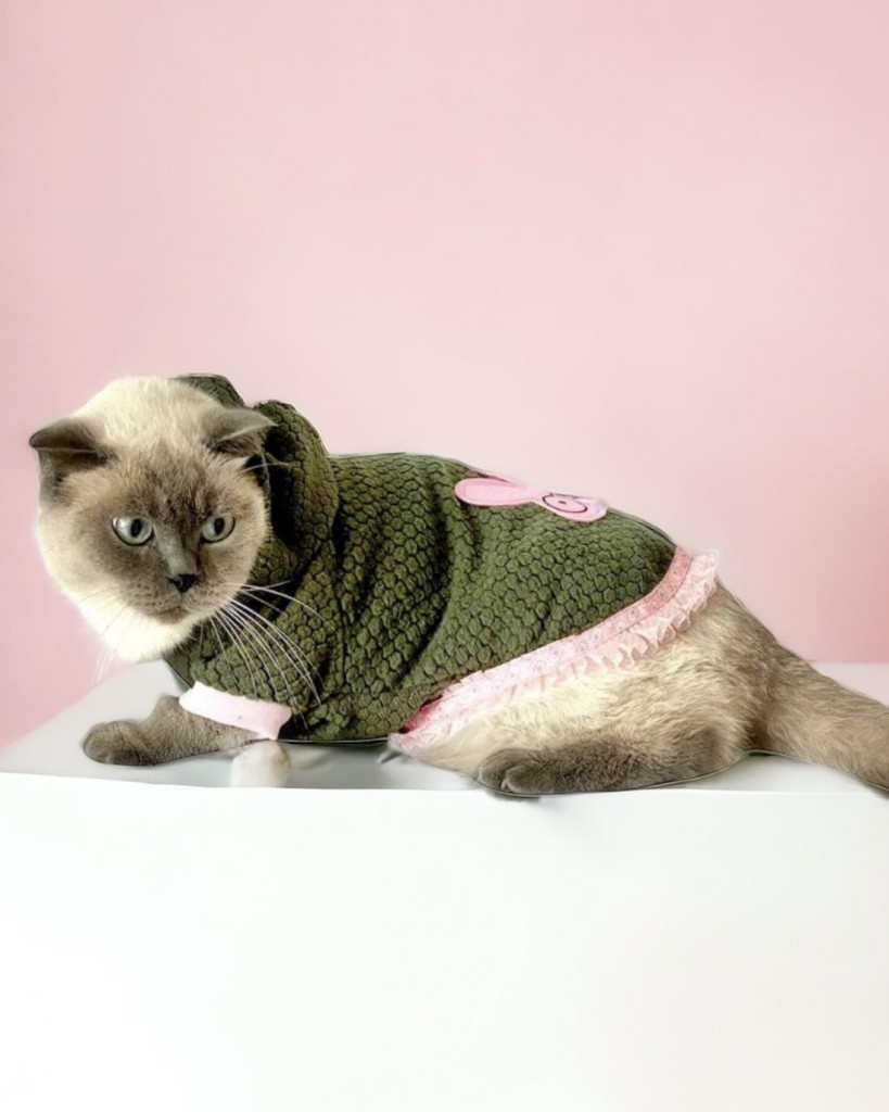 Greenco Bunny Kapsonlu Sweatshirt Kedi Elbisesi Süeteri Kedi Kıyafeti