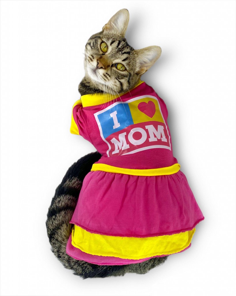 I Love Mom Pink Duo Kedi Kıyafeti,Elbisesi Anneler Günü