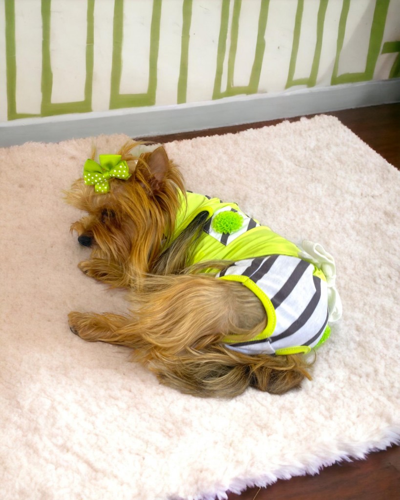 Lime Fuzz Tişört Ve İç Çamaşırı Set Köpek Kıyafeti Köpek Kostümü