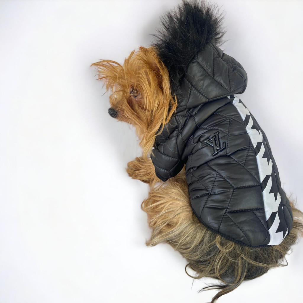 Luxy Black Köpek Montu, Köpek Ceketi, Köpek Dış Giyim