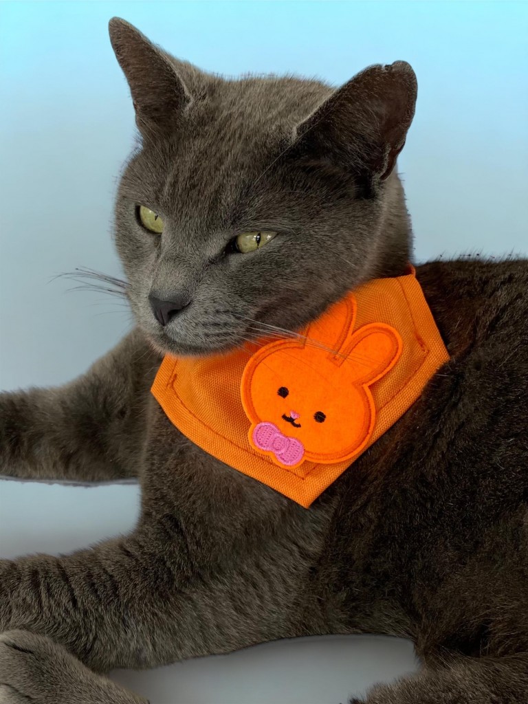 Orange Bunny Kedi Bandana, Fular, Kedi Kıyafeti Kedi Elbisesi, Kedi Tasması
