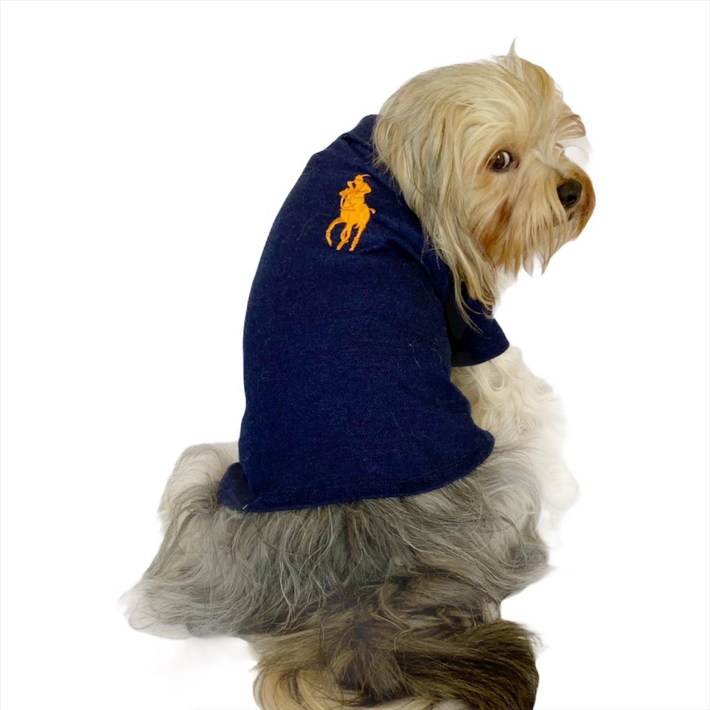 Rl Navy Orange Polo Yaka Tişört Köpek Kıyafeti Köpek Elbisesi