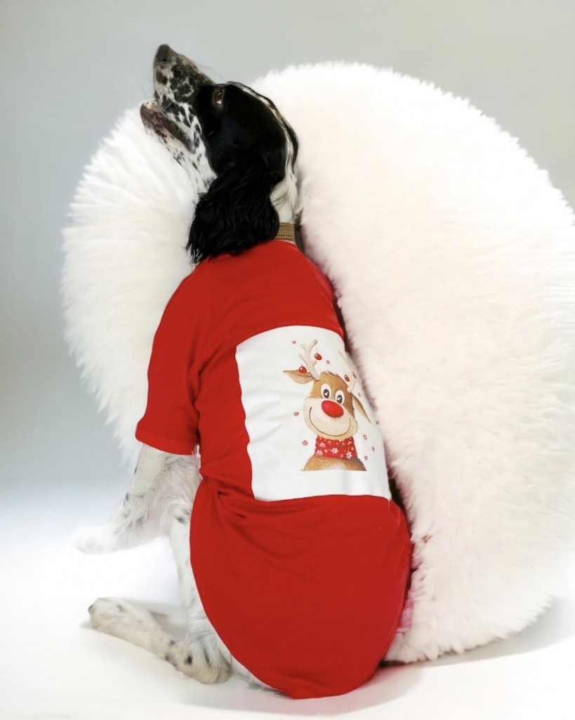 Rudolph Geyikli Orta Ve Büyük Irk Köpek Tişörtü Yılbaşı Noel