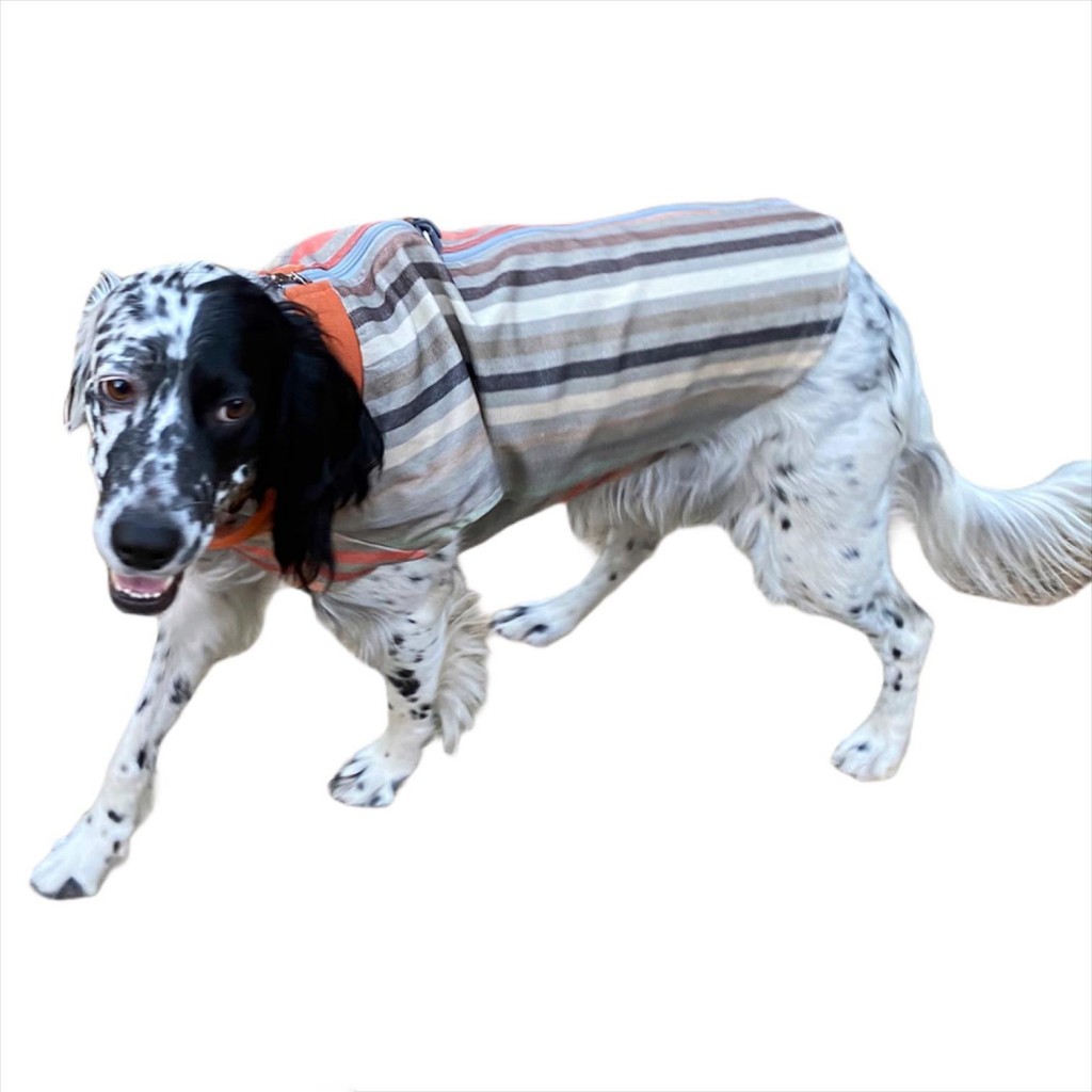 Stripe Orange Köpek Ceketi, Orta Ve Büyük Irklar Için
