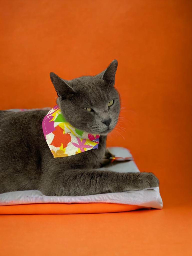 Summer Kedi Bandana, Fular, Kedi Kıyafeti Kedi Elbisesi, Kedi Tasması