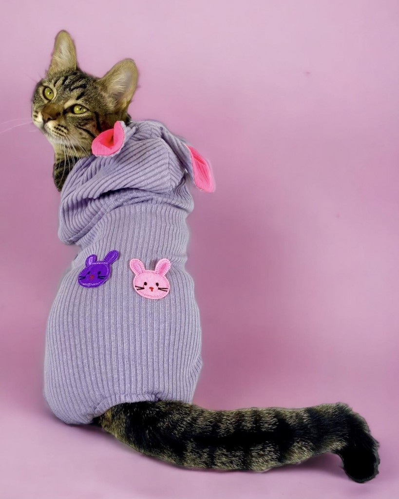 Sweet Bunnyy Kulaklı Kedi Tulumu, Kedi Kıyafeti