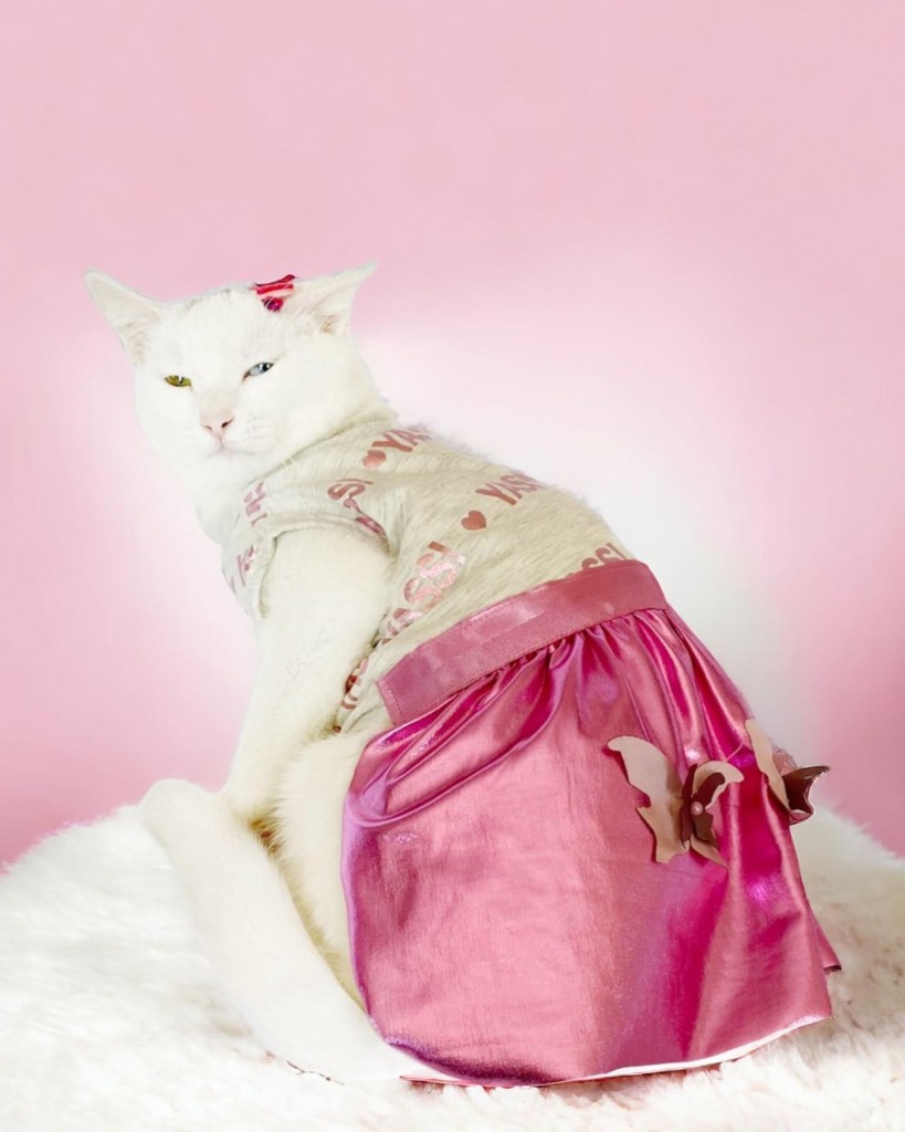 Yassi Glitz Kedi Elbisesi, Kedi Kıyafeti , Kedi Kostümü