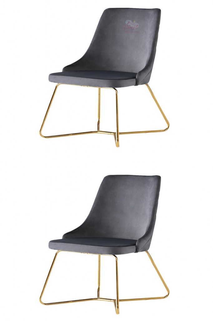 2 Adet Alya Sandalye Metal Gold Halkalı Sandalye Mutfak Salon Yemek Odası Sandalyesi