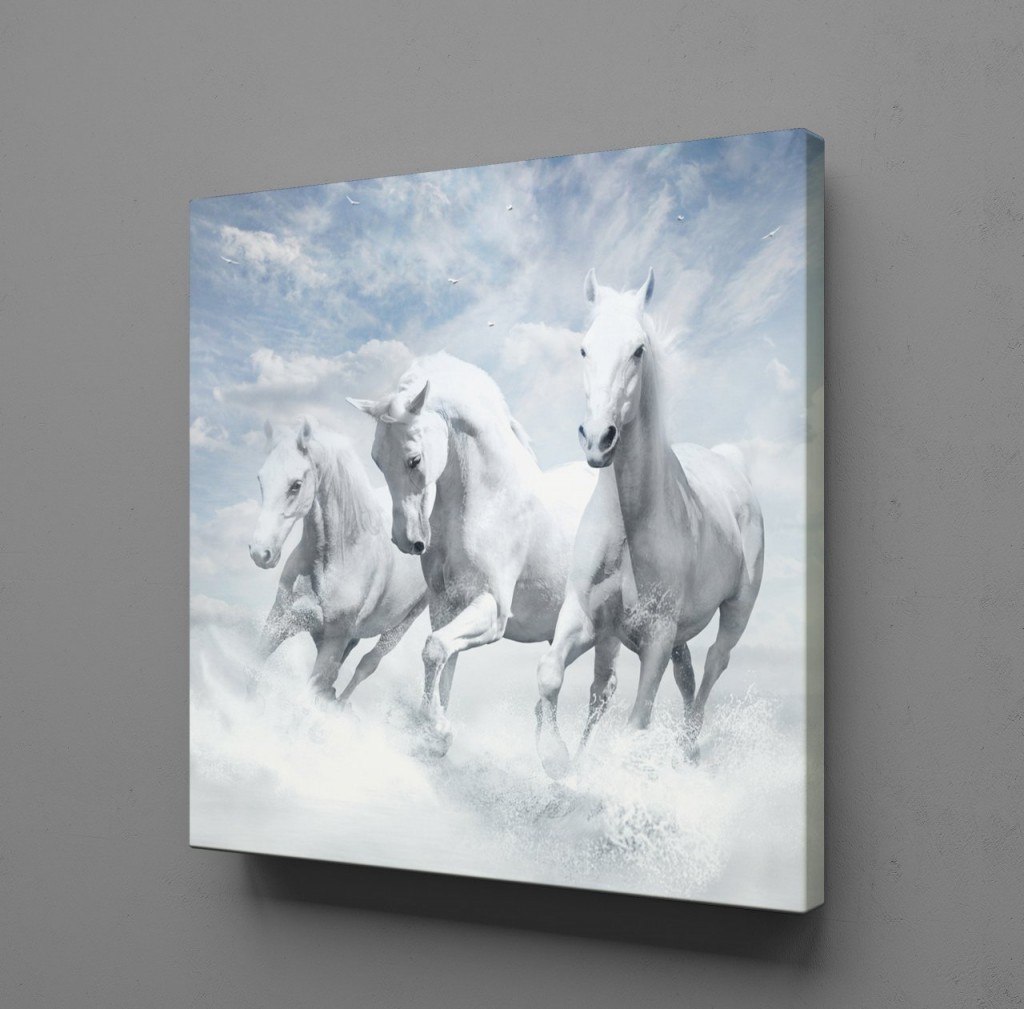 Beyaz Atlar Ülkesi̇ Kanvas Tablo