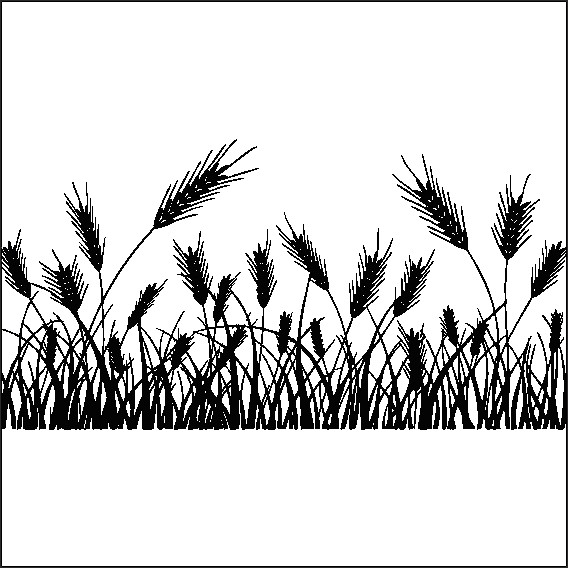 Buğday Başak Folyo Sti̇cker