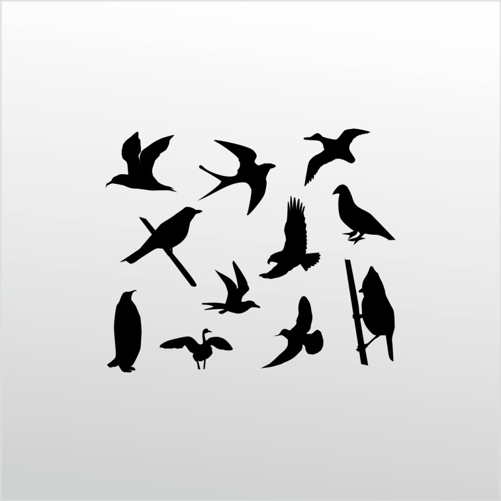 Folyo Sticker Kuş Serisi