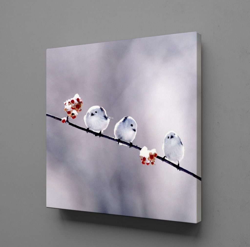 Küçük Beyaz Si̇yah Kuşlar Kanvas Tablo