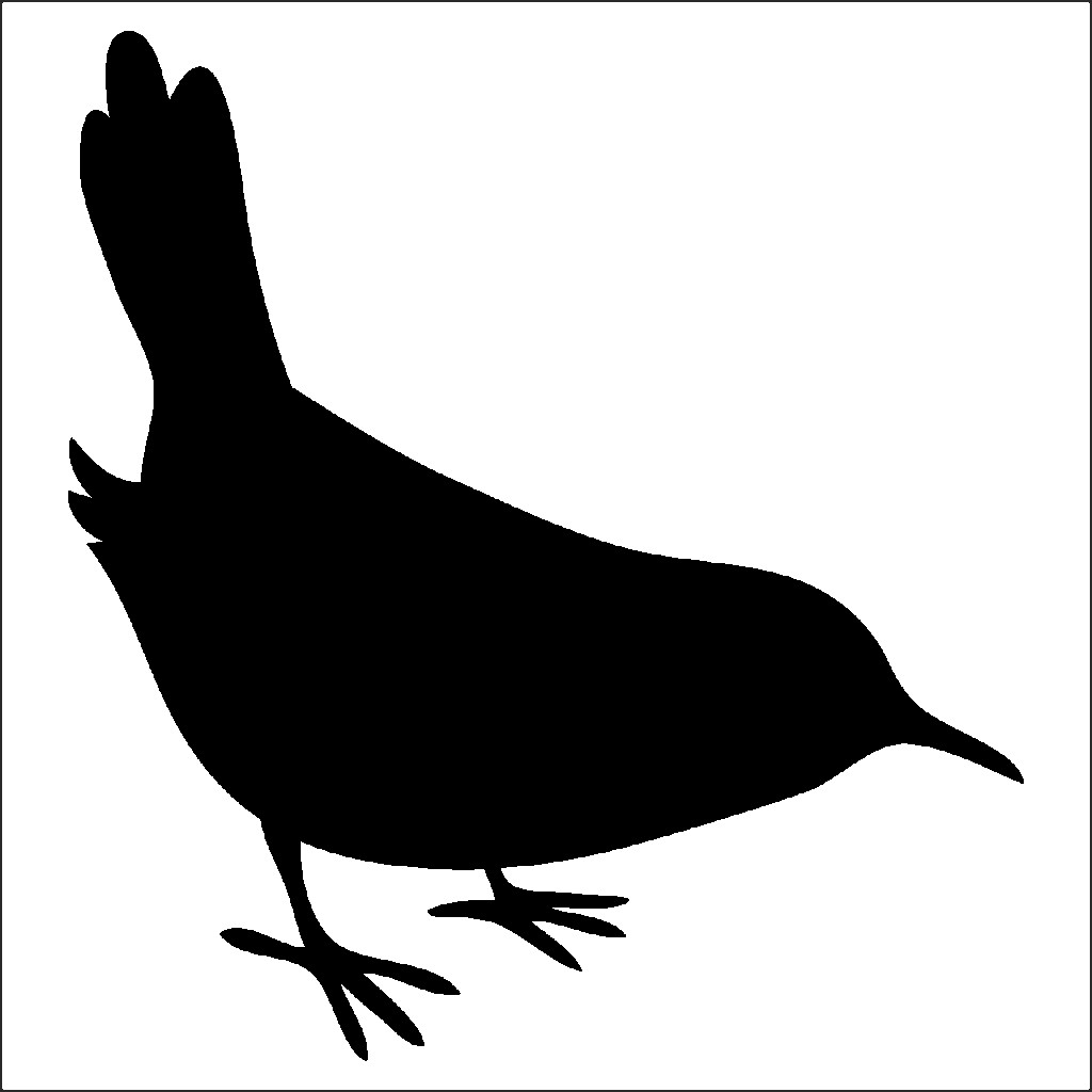 Kuş Folyo Sti̇cker