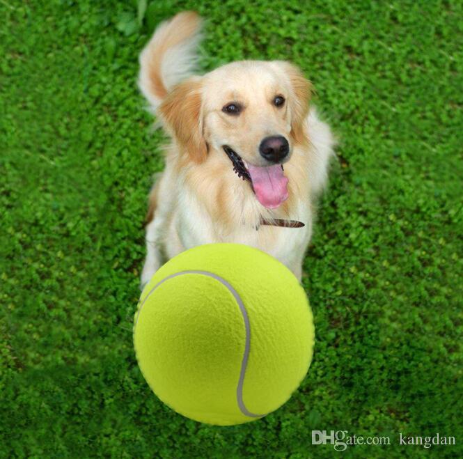 Tenis Topu Köpek Oyuncağı 1 Adet 648