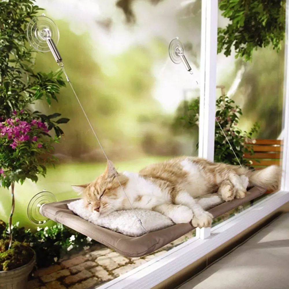 Kedi Pencere Yatağı