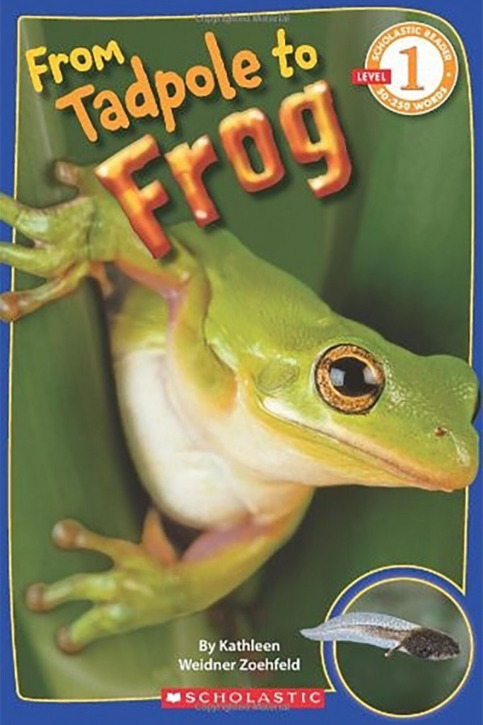 Reader Level 1: From Tadpole To Frog Kathleen Weidner Zoehfeld