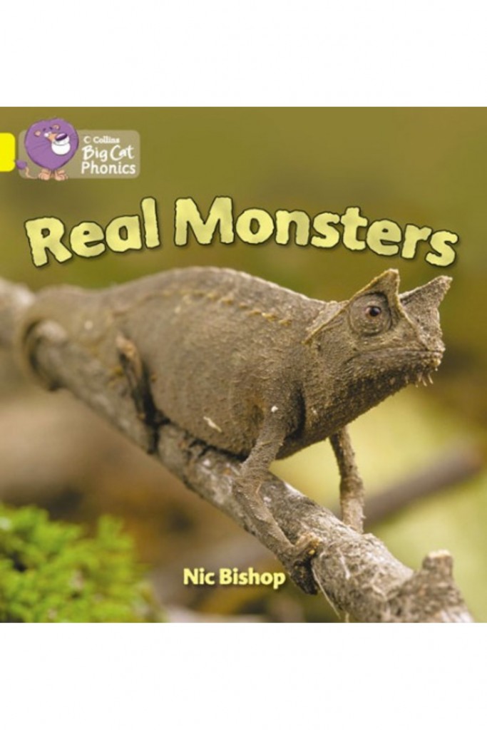 Real Monsters (Bc-3 Yellow) Phonic