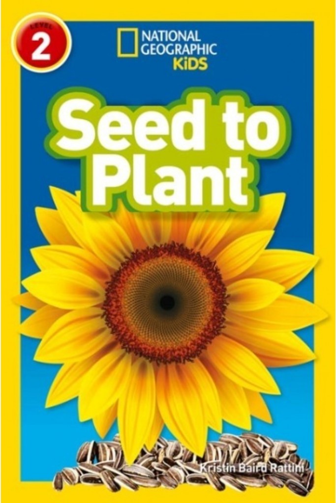 Seed To Plant (Ngr-2)