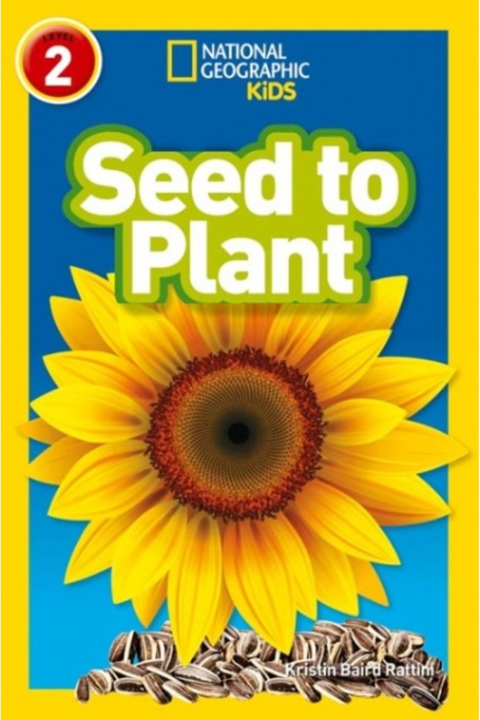 Seed To Plant (Ngr-2)