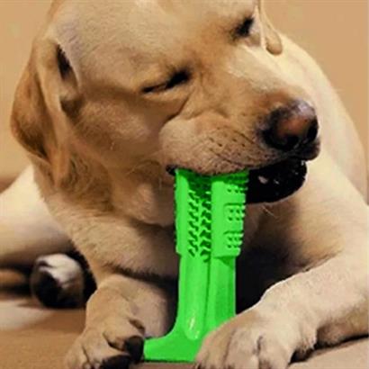 Shopzum Köpek Diş Temizleyici Ve Kaşıyıcı Sağlıklı Küçük Boy Oyuncak