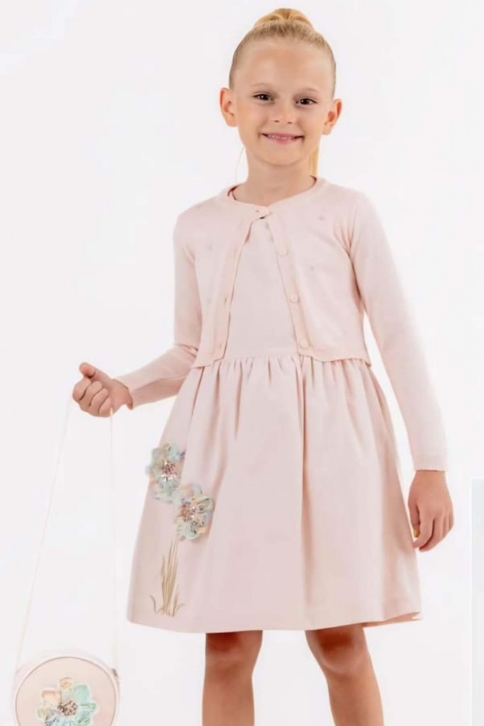 Kız Çocuk Çiçek İşlemeli Pudra Şifon Elbise