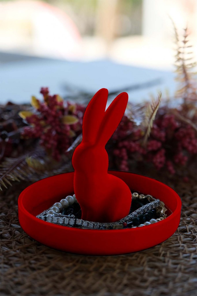 Küpe Kolye Yüzük Piercing Halhal Hızma Icin Düzenleyici Tavşanlı Takı  Tabağı