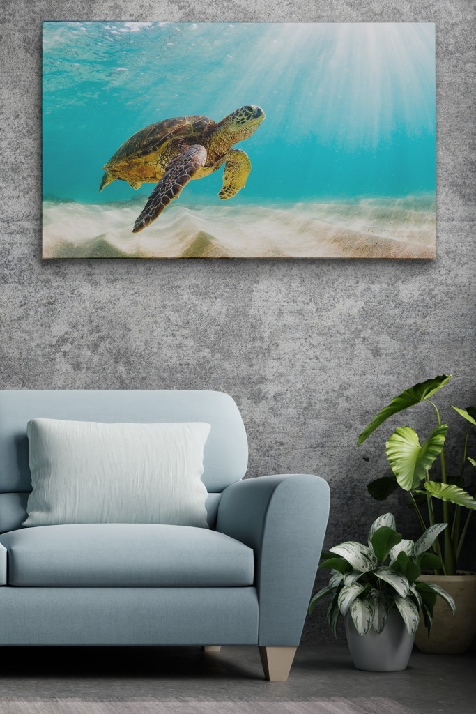 Deniz Kaplunbağası Dekoratif Kanvas Duvar Tablosu Karışık 35 X 50