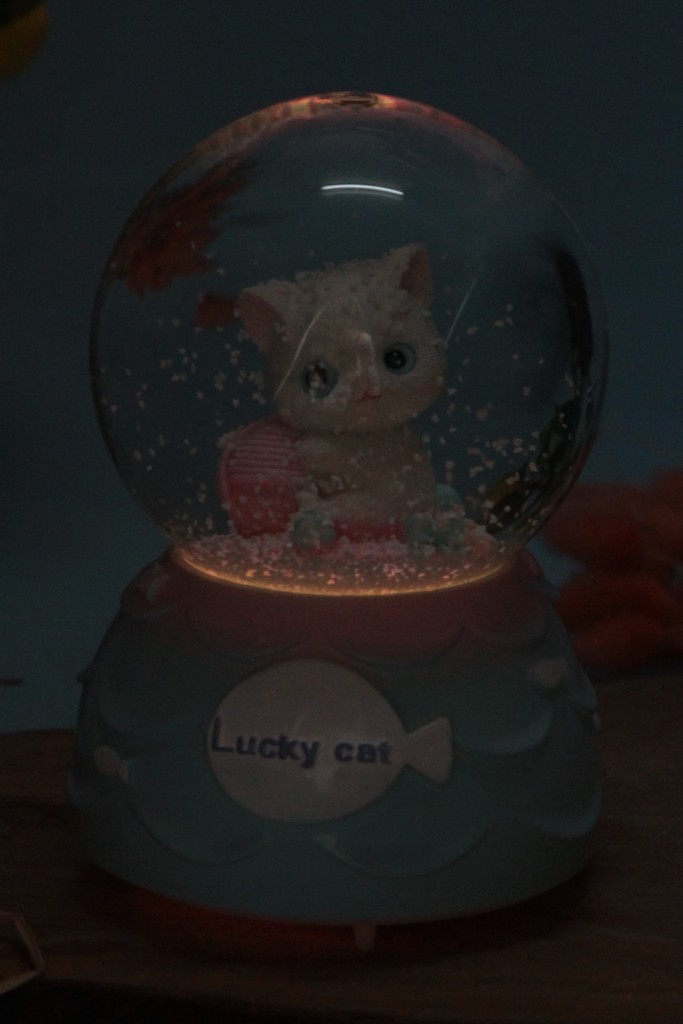 Lukcy Cat Yazılı Kar Küresi Müzikli Işıklı Orta Boy Sevgiliye Hediye