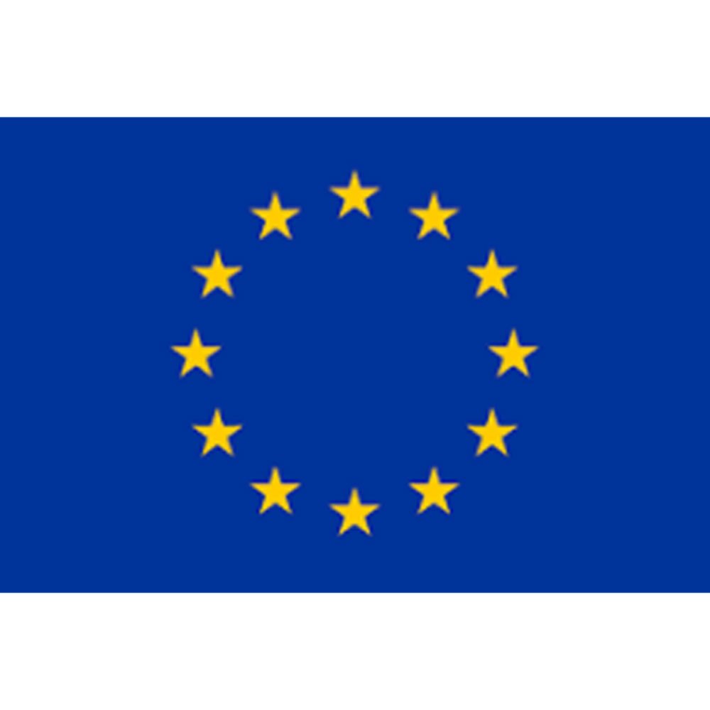 Avrupa Birliği Bayrağı (Aet) 70X105 Cm
