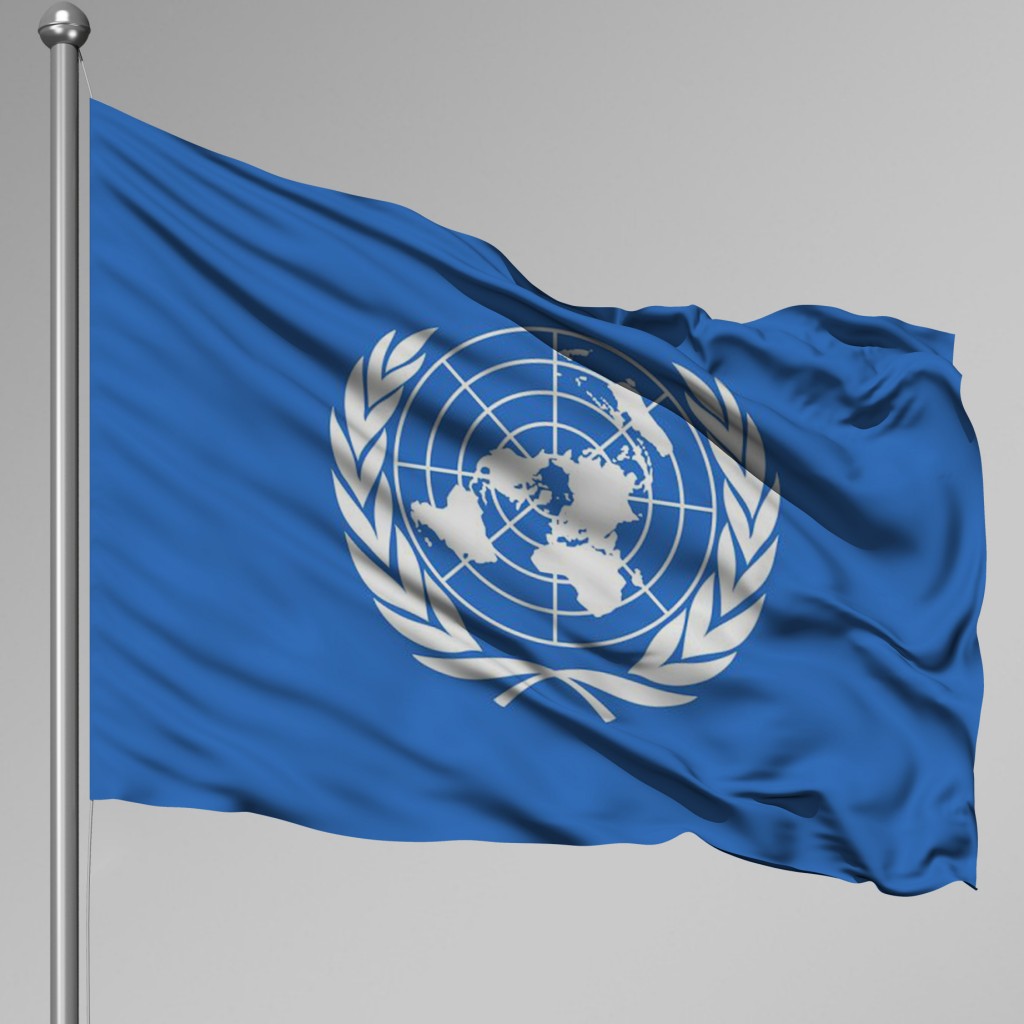 Birleşmiş Milletler Gönder Bayrağı (Bm) 70X105 Cm