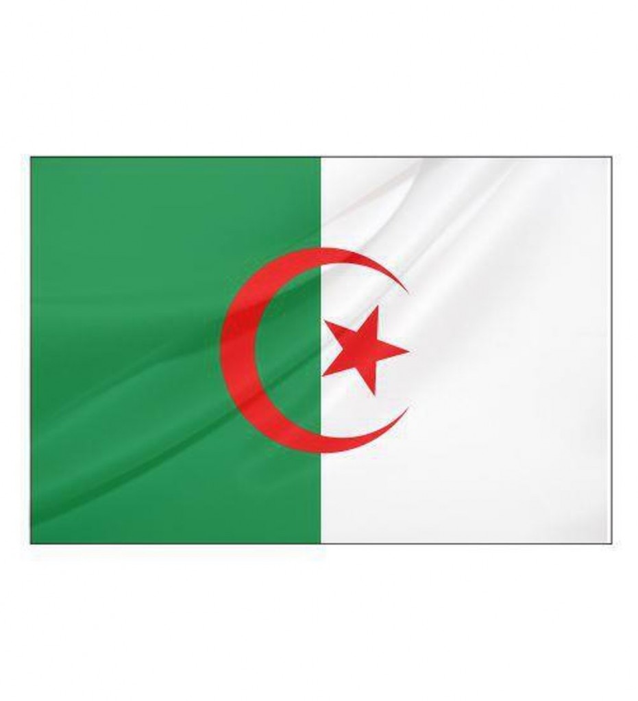 Cezayir Bayrağı (30X45 Cm)