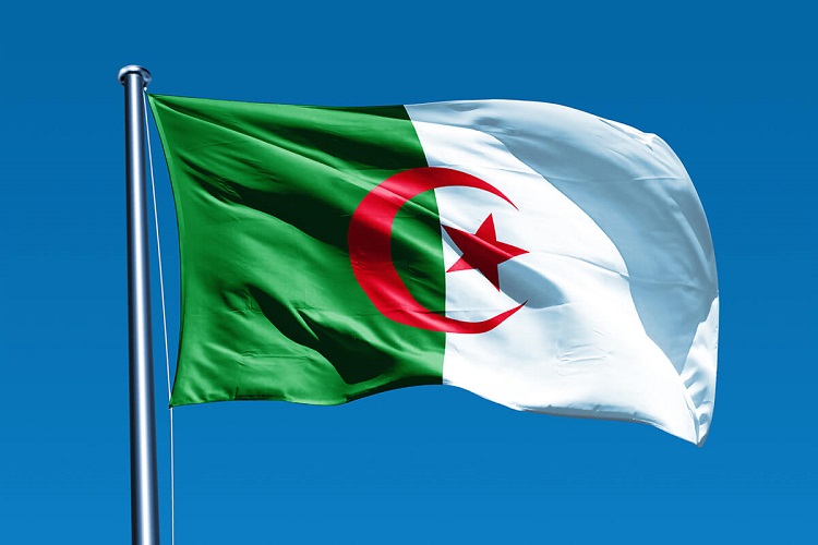 Cezayir Devleti Gönder Bayrağı 70X105 Cm