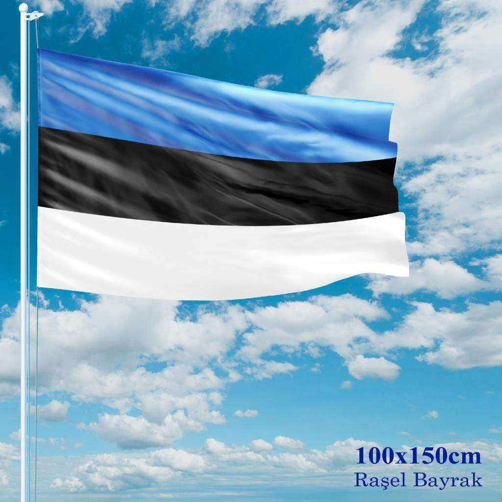 Estonya Devleti Gönder Bayrağı 100X150