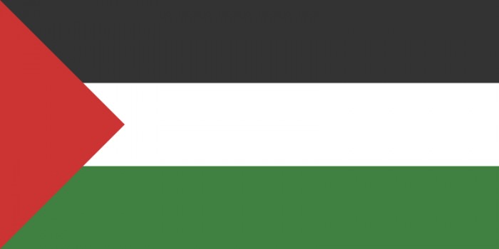 Filistin Bayrağı (30X45 Cm)
