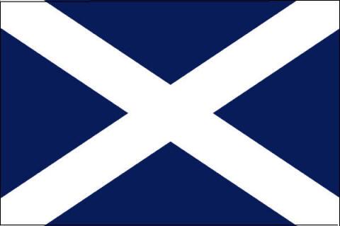 İskoçya Bayrağı (30X45 Cm)